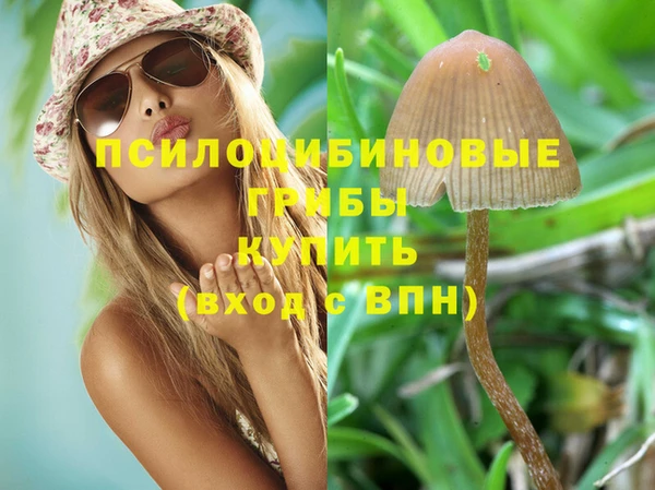 соль курить ск Дмитровск