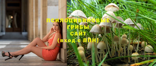 герыч Дмитров