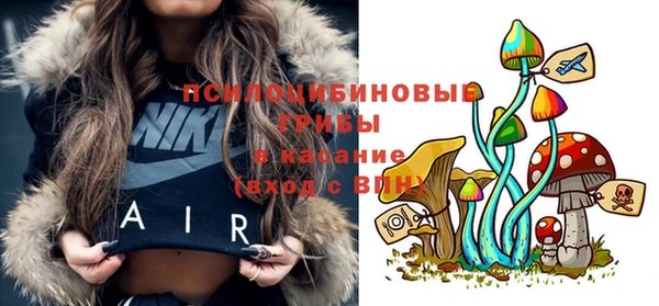 кокаин перу Дмитриев