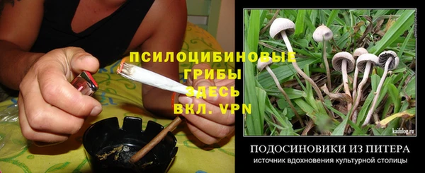 кокаин перу Дмитриев