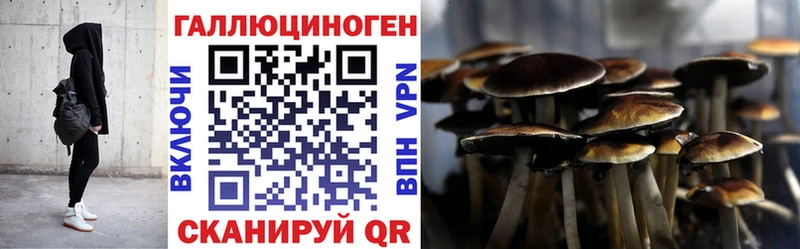Галлюциногенные грибы Psilocybine cubensis  купить  цена  ОМГ ОМГ онион  Канаш 