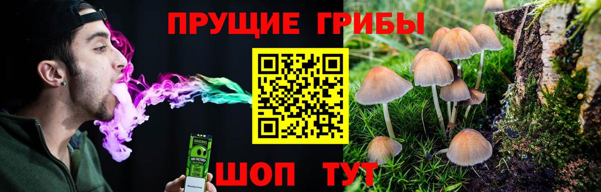 дарнет шоп  Вход с VPN  Канаш  Псилоцибиновые грибы Psilocybe  Галлюциногенные грибы мицелий 