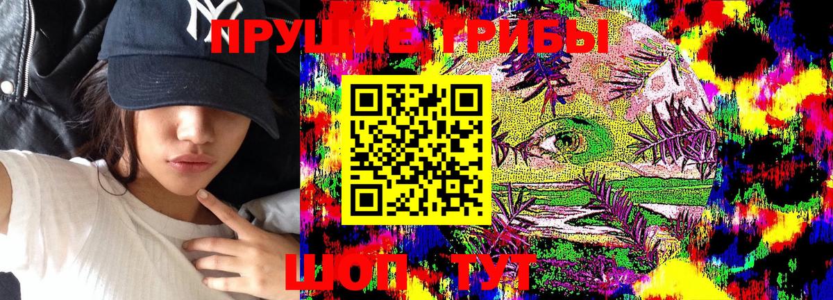 Псилоцибиновые грибы GOLDEN TEACHER Канаш